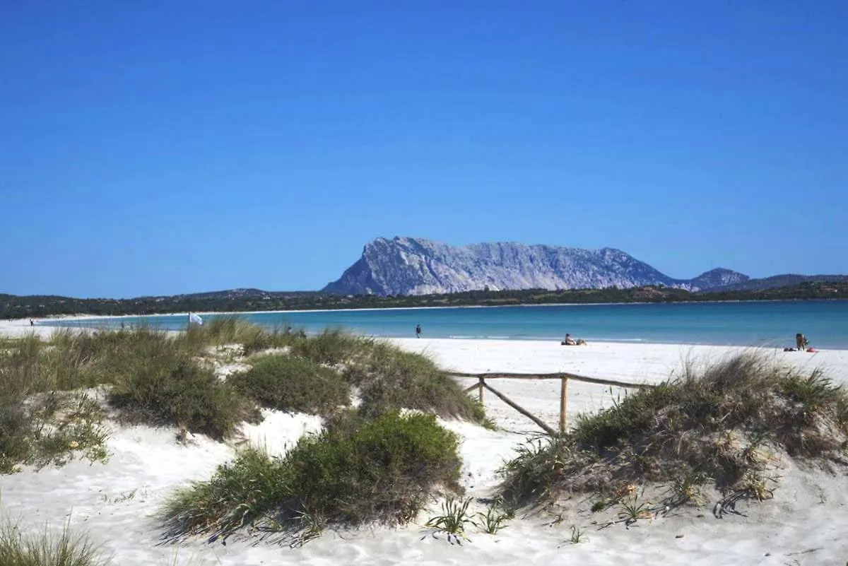 Michhouse Villa San Teodoro  0*, San Teodoro (Sardinia)